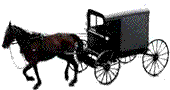 Amish horse and wagon