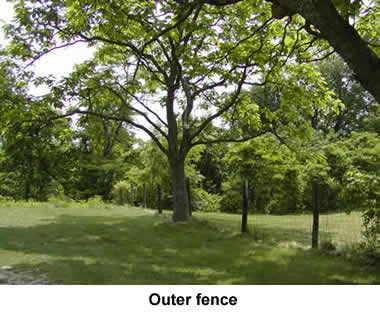 Outer femce