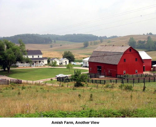 Amish Farm