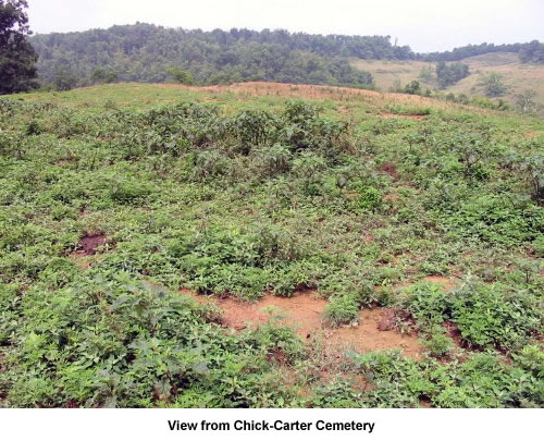 Site of Chick-Carter Cemetery