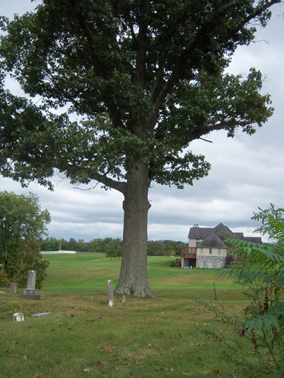 View in Fairfield Cemetery