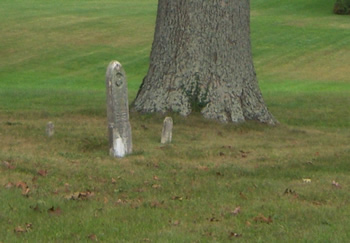 Tombstones adjacent to tree