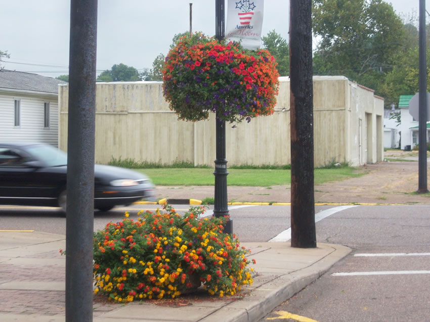 Flowers on the street corner